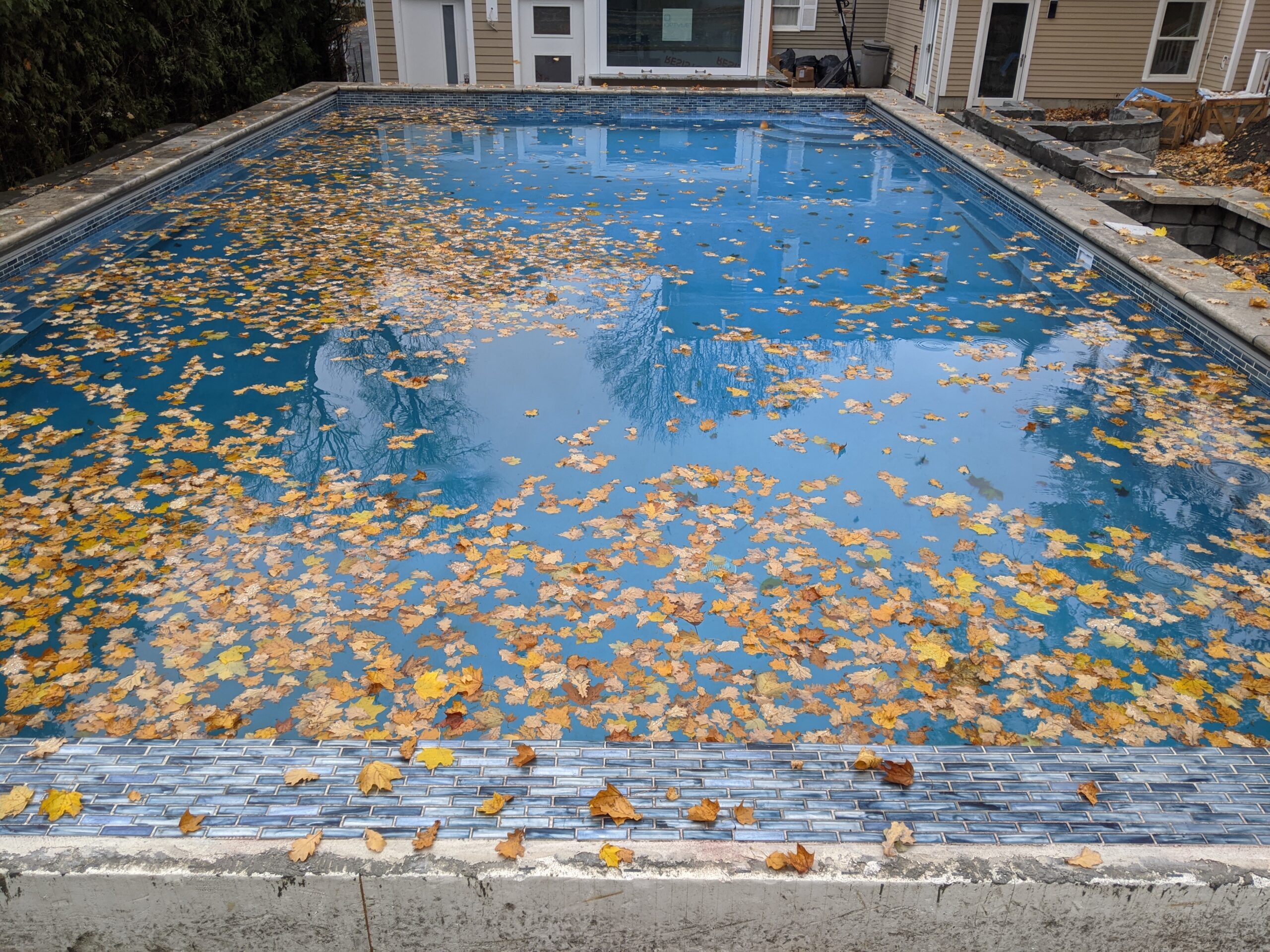 Photo of ICF pool in early autumn with interior of the pool finish with blue waterproof paint and tiles at the top.